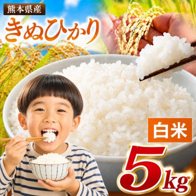 【令和8年産】熊本県産 きぬひかり 白米 5kg