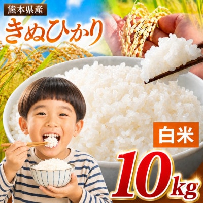 【令和8年産】熊本県産 きぬひかり 白米 10kg