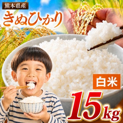 【令和8年産】熊本県産 きぬひかり 白米 15kg