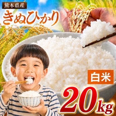 【令和8年産】熊本県産 きぬひかり 白米 20kg