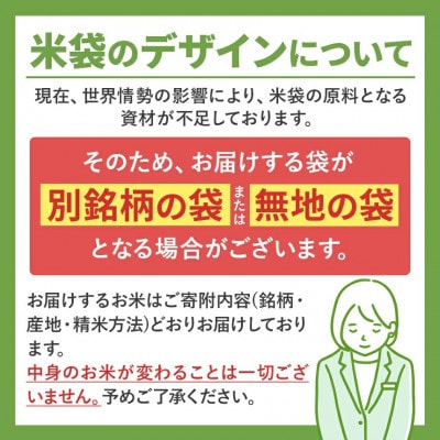 【令和8年産】熊本県産 きぬひかり 白米 20kg