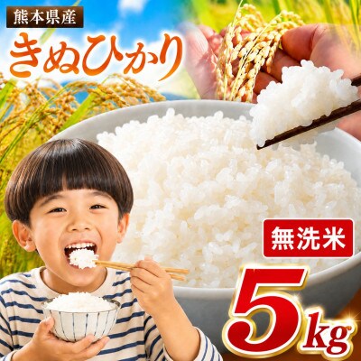【令和8年産】 熊本県産 きぬひかり 無洗米　5kg