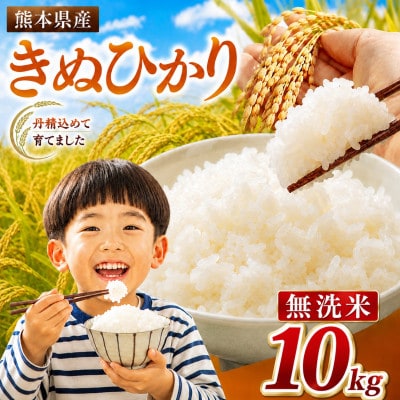 【令和8年産】 熊本県産 きぬひかり 無洗米　10kg