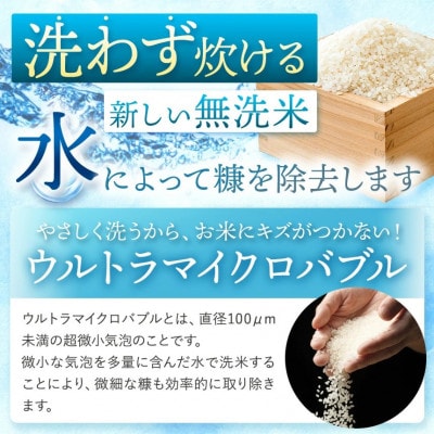 【令和8年産】 熊本県産 きぬひかり 無洗米　10kg