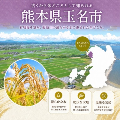 【令和8年産】 熊本県玉産 きぬひかり 無洗米　20kg