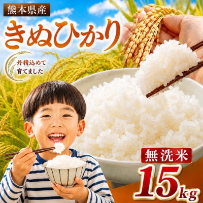 【令和8年産】 熊本県産 きぬひかり 無洗米　15kg