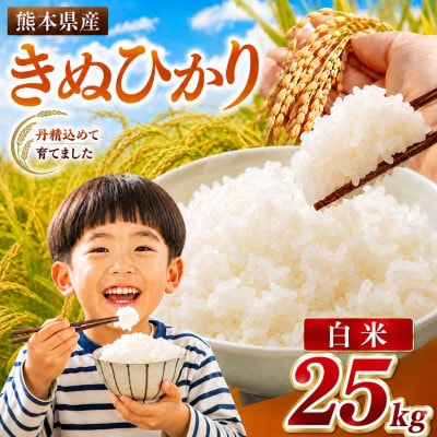 【令和8年産】熊本県産 きぬひかり 白米 25kg