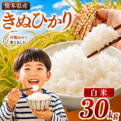 【令和8年産】熊本県産 きぬひかり 白米 30kg