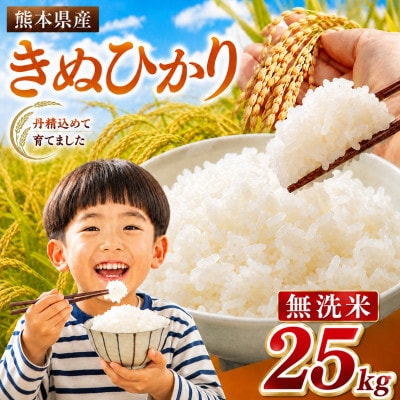 【令和8年産】熊本県産 きぬひかり 無洗米 25kg