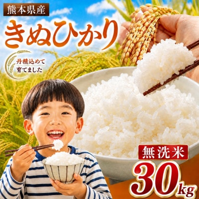 【令和8年産】熊本県産 きぬひかり 無洗米 30kg