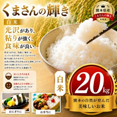 【令和8年産】熊本県産 くまさんの輝き 白米 20kg