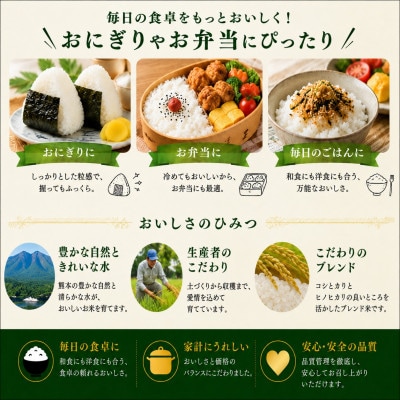 【令和8年産】熊本県産 ひのひかり 白米 15kg