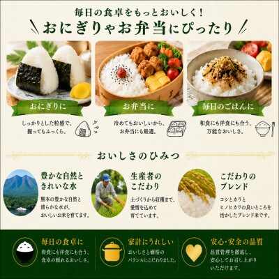 【令和8年産】熊本県産 ひのひかり 無洗米 10kg