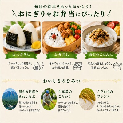 【令和8年産】熊本県産 ほたるの灯り 無洗米 25kg