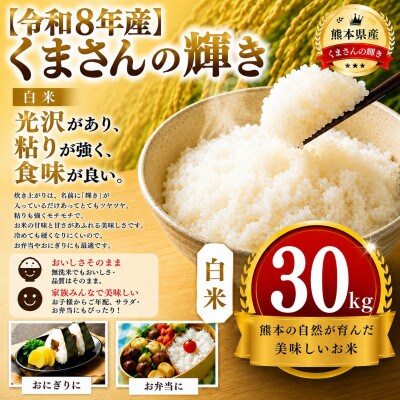【令和8年産】熊本県産 くまさんの輝き 白米 30kg