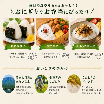【令和8年産】熊本県産 ひのひかり 白米 30kg