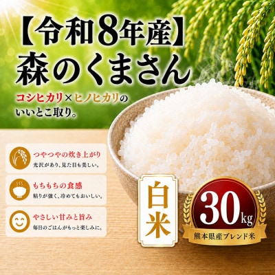 【令和8年産】熊本県産 森のくまさん　白米　30kg