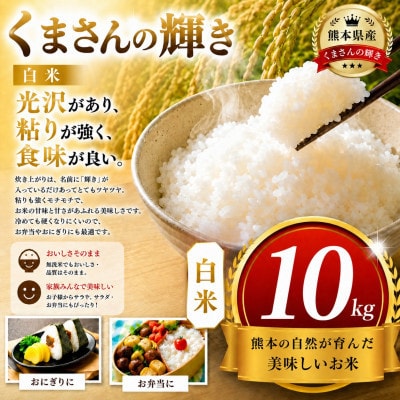 【毎月定期便】熊本県産 くまさんの輝き 白米 10kg全6回