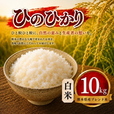 【毎月定期便】熊本県産 ひのひかり 白米 10kg全3回