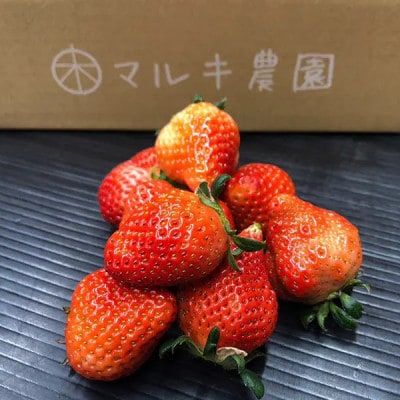 【訳あり】熊本県産 冷凍いちご 約1kg(ゆうべに)