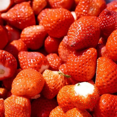 【訳あり】熊本県産 冷凍いちご 約1kg(ゆうべに)