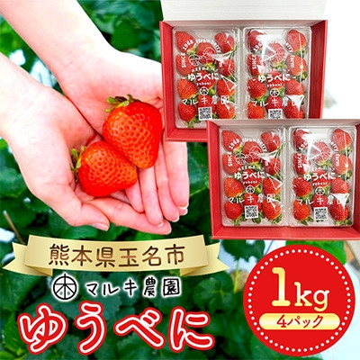 玉名市産 ゆうべに 約1kg(約250g×4パック)