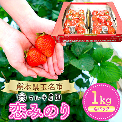 玉名市産 恋みのり 約1kg(約250g×4パック)