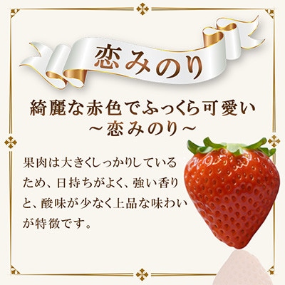 玉名市産 恋みのり 約1kg(約250g×4パック)