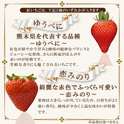 玉名市産 紅白いちご 約500g(約250g×2パック)