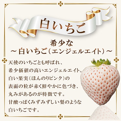 玉名市産 紅白いちご 約500g(約250g×2パック)