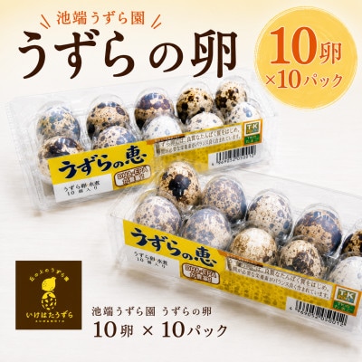 池端うずら園　うずらの卵「うずらの恵」10卵×10パック