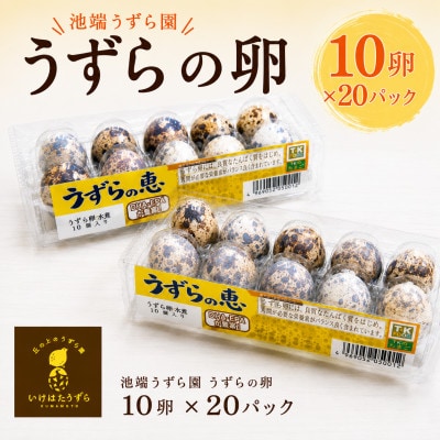 池端うずら園　うずらの卵「うずらの恵」10卵×20パック