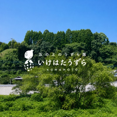 池端うずら園　うずらの卵「うずらの恵」10卵×20パック