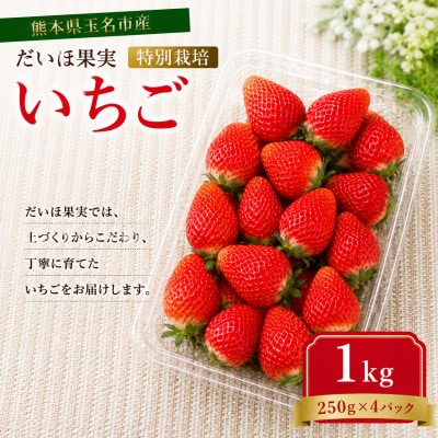 【特別栽培農産物】熊本県産 いちご 1kg(250g×4パック)