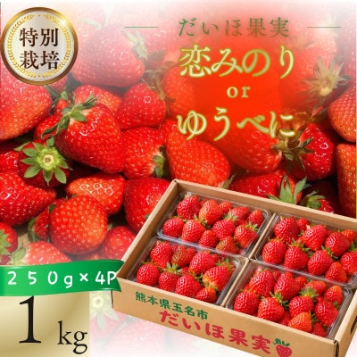 【特別栽培農産物】熊本県産 いちご 1kg(250g×4パック)