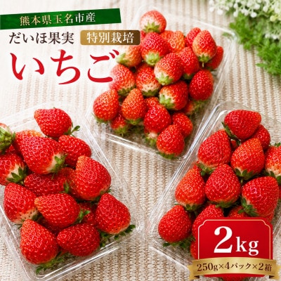 【特別栽培農産物】熊本県産 いちご 2kg(250g×4パック×2箱)