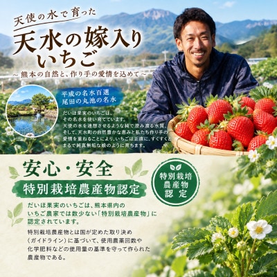 【特別栽培農産物】熊本県産 いちご 2kg(250g×4パック×2箱)