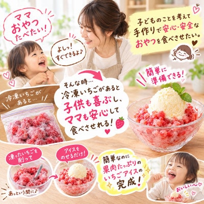 だいほ果実 冷凍いちご 2kg