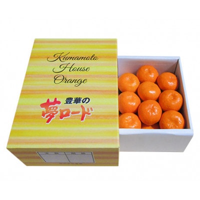 温室みかん 『豊華の夢ロード』 約1.2kg 化粧箱入り