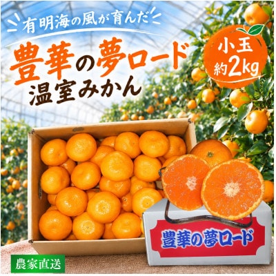 【温室みかん】 小玉 約2kg