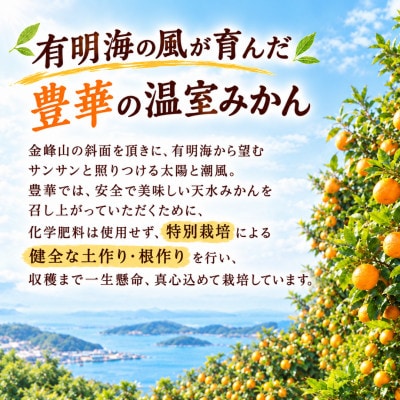 【温室みかん】 小玉 約2kg