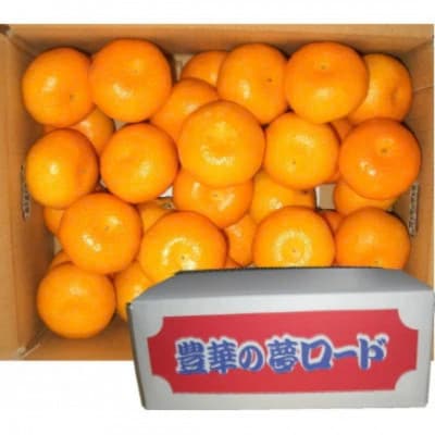 【温室みかん】 小玉 約2kg