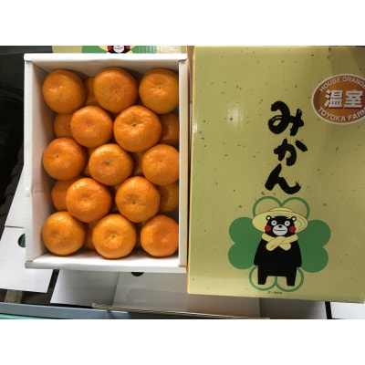 温室みかん 『豊華の夢ロード』 約2.5kg 化粧箱入り