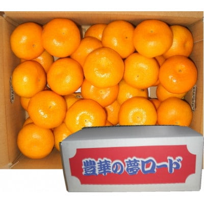【家庭用】 ファミリーみかん 『 豊華の夢ロード 』 5kg