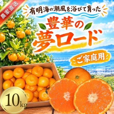 【家庭用】ファミリーみかん『豊華の夢ロード』10kg