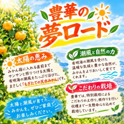 【家庭用】ファミリーみかん『豊華の夢ロード』10kg