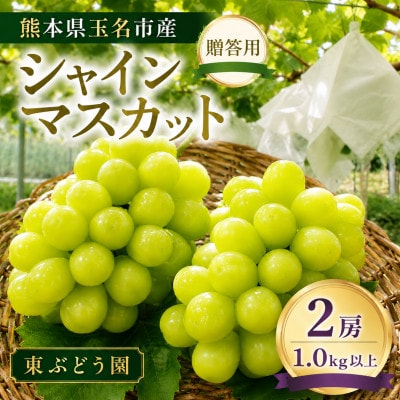 熊本県玉名市産 シャインマスカット2房 1kg以上 贈答用(玉名市)
