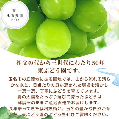 熊本県玉名市産 シャインマスカット2房 1kg以上 贈答用(玉名市)