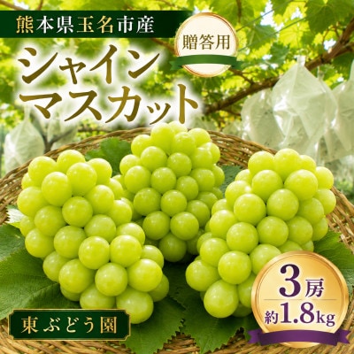 熊本県玉名市産 シャインマスカット3房 約1.8kg 贈答用(玉名市)