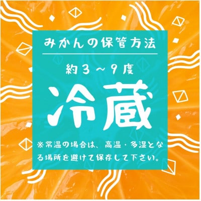 【玉名市産】 紅みかん 約5kg
